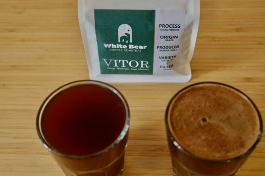 Specialty Coffee Tasting : Why No Two Sips Are the Same!