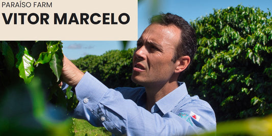 Vitor's Micro Lot